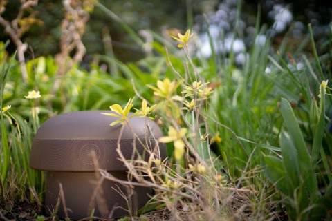 A close up on an outdoor audio subwoofer surrounded by grass and flowers.