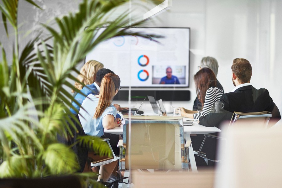 People in a conference room with a video conference meeting on display and a plant in the foreground. 
